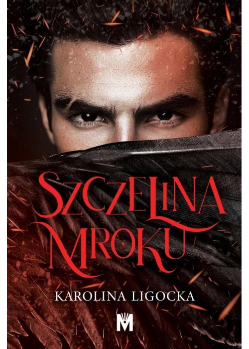 Szczelina mroku