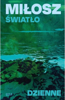 Światło dzienne
