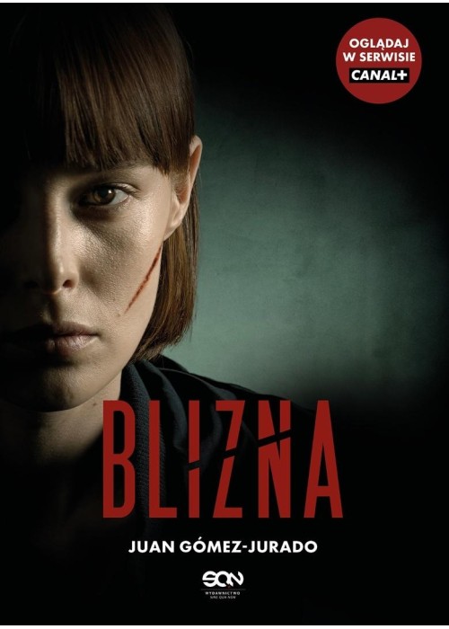 Blizna (wydanie serialowe)
