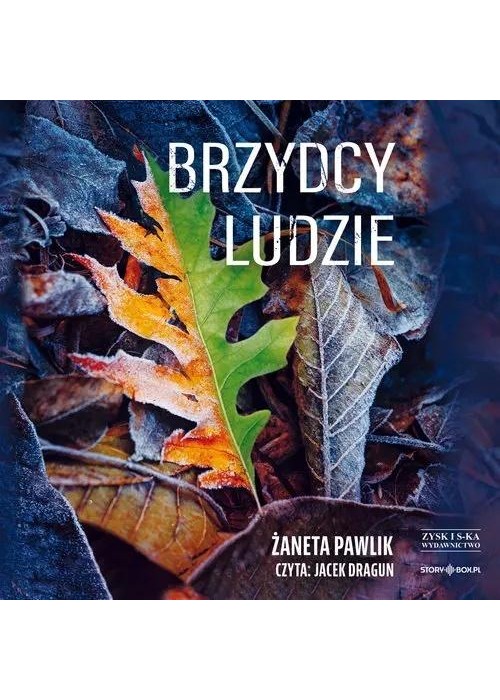 Brzydcy ludzie audiobook