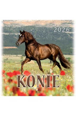 Kalendarz 2026 wieloplanszowy 33x33cm Konie