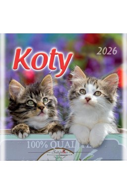 Kalendarz 2026 wieloplanszowy 33x33cm Koty