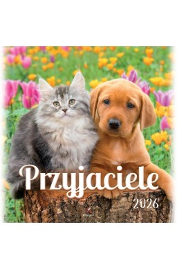 Kalendarz 2026 wieloplanszowy 33x33cm Przyjaciele
