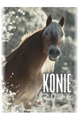 Kalendarz 2026 wieloplanszowy B4 Konie
