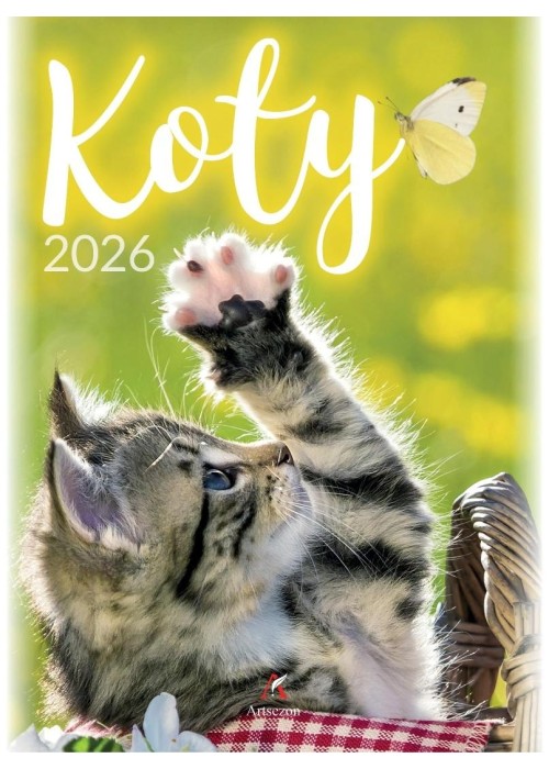 Kalendarz 2026 wieloplanszowy B4 Koty Kalendarz 2026 wieloplanszowy B4 Koty