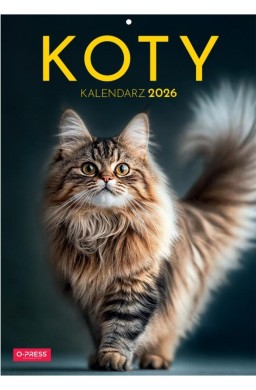 Kalendarz 2026 A4 Wieloplanszowy Koty