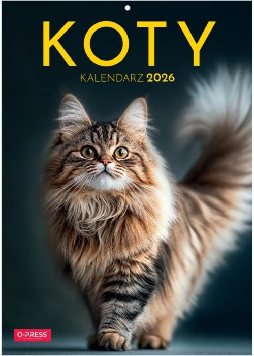 Kalendarz 2026 A4 Wieloplanszowy Koty