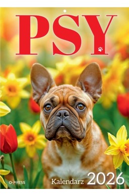 Kalendarz 2026 A4 Wieloplanszowy Psy