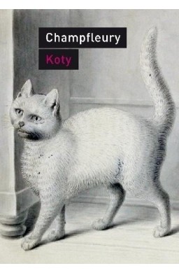 Koty. Historia, zwyczaje, obserwacje, anegdoty