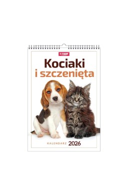 Kalendarz 2026 A3 wieloplanszowy Kociaki i...