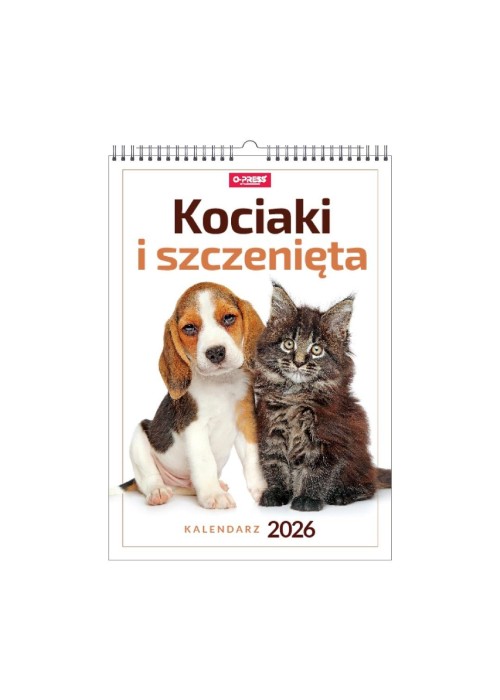 Kalendarz 2026 A3 wieloplanszowy Kociaki i...