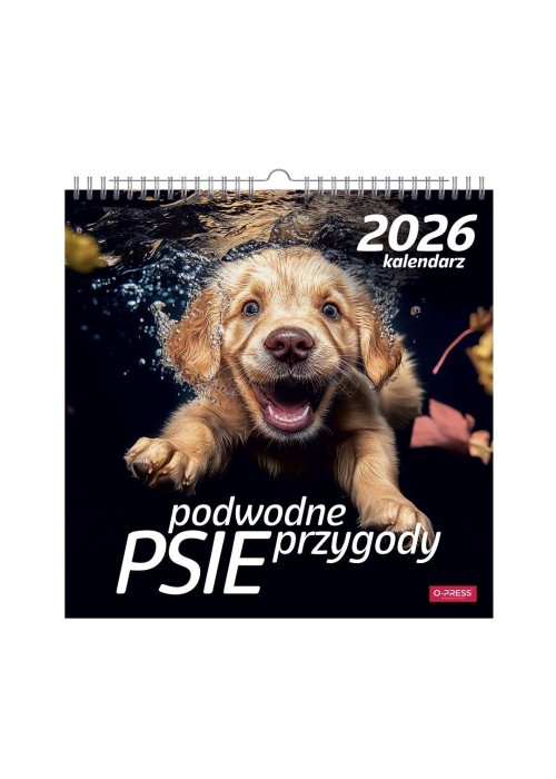 Kalendarz 2026 wieloplanszowy kwadrat Psy pod wodą