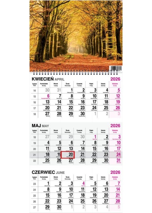 Kalendarz 2026 trójdzielny na spirali Las