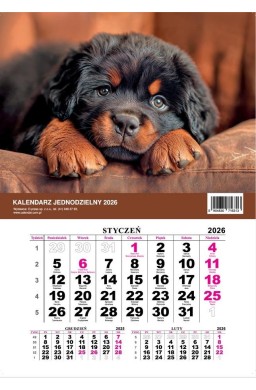 Kalendarz 2026 jednodzielny Pies