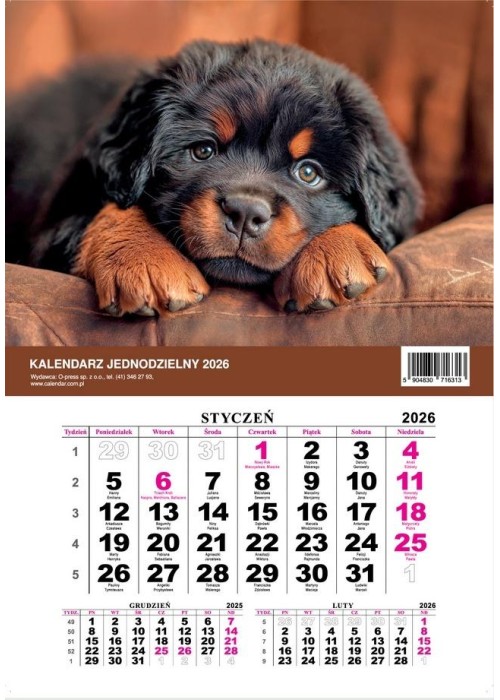 Kalendarz 2026 jednodzielny Pies