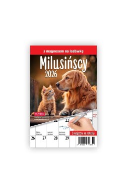 Kalendarz 2026 A5 miesięczny na lodówkę