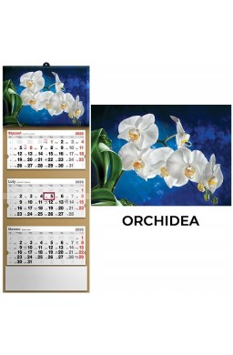 Kalendarz 2026 trójdzielny orchidea