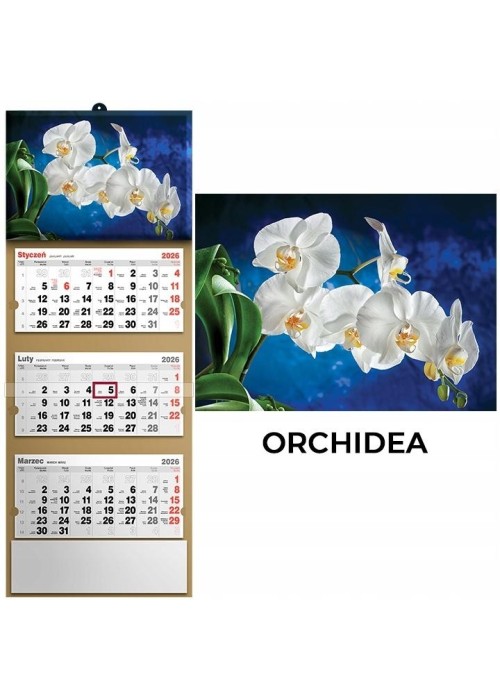 Kalendarz 2026 trójdzielny orchidea