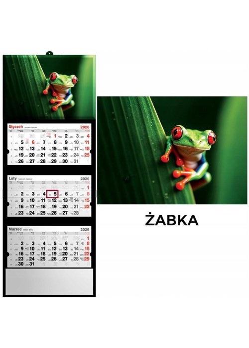 Kalendarz 2026 trójdzielny żaba