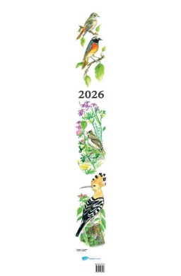 Kalendarz 2026 Ptaki
