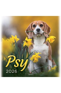 Kalendarz 2026 wieloplanszowy 33x33cm Psy