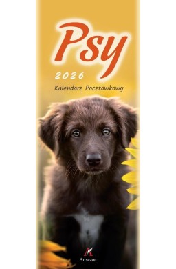 Kalendarz 2026 pocztówkowy 12,5x33cm Psy