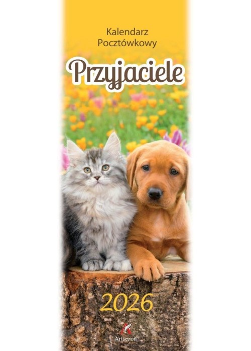 Kalendarz 2026 pocztówkowy 12,5x33cm Przyjaciele