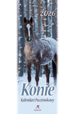 Kalendarz 2026 pocztówkowy 12,5x33cm Konie