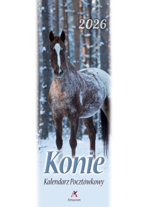 Kalendarz 2026 pocztówkowy 12,5x33cm Konie