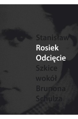 Odcięcie. Szkice wokół Schulza