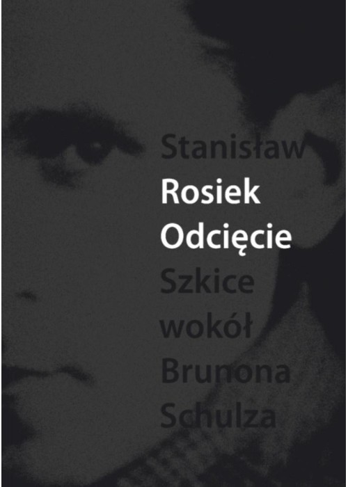 Odcięcie. Szkice wokół Schulza