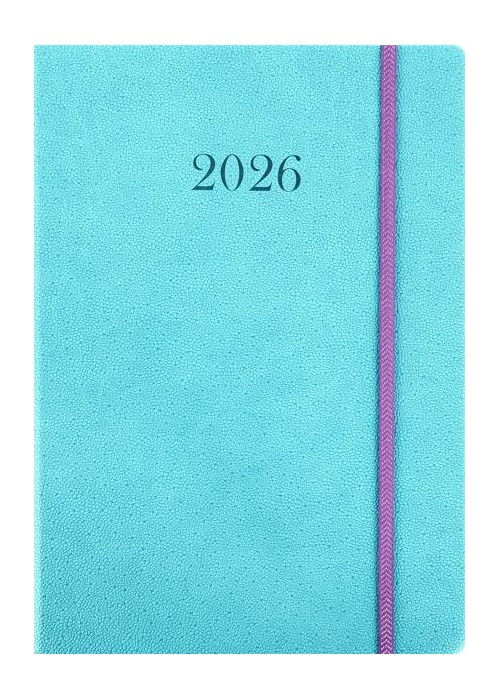 Terminarz 2026 Tygodniowy B5 Krokodylek MIX
