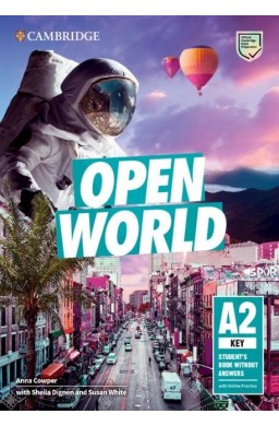 Open World Key SB without Answers with Online