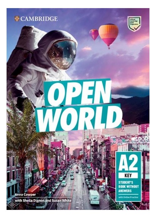 Open World Key SB without Answers with Online