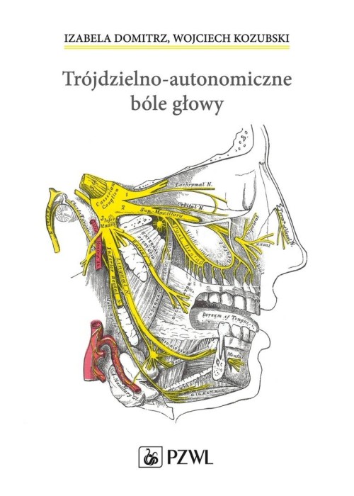 Trójdzielno-autonomiczne bóle głowy