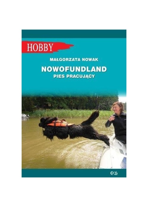 Nowofundlad - pies pracujący