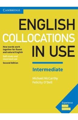 English Collocations in Use Advanced Book