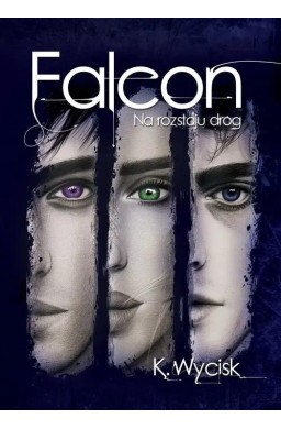 Falcon T.2 Na rozstaju dróg