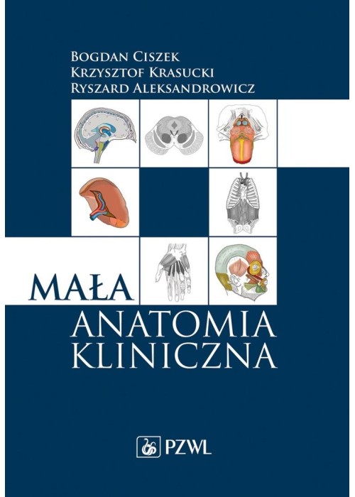 Mała anatomia kliniczna