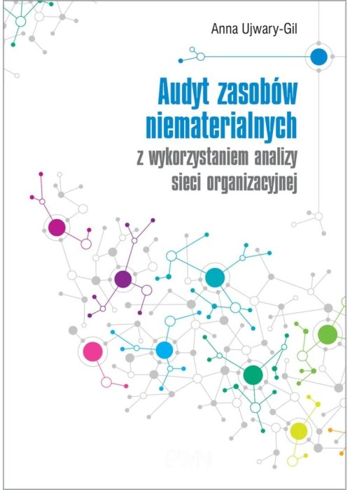 Audyt zasobów niematerialnych z wykorzystaniem..
