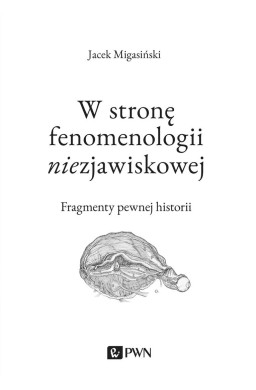 W stronę fenomenologii niezjawiskowej