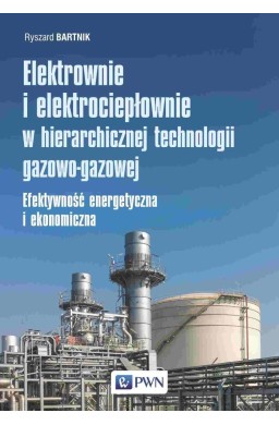 Elektrownie i elektrociepłownie w hierarchicznej..