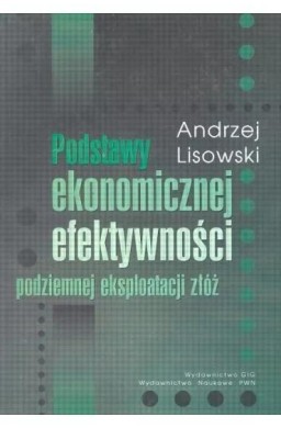 Podstawy ekonomicznej efektywności podziemnej eksp