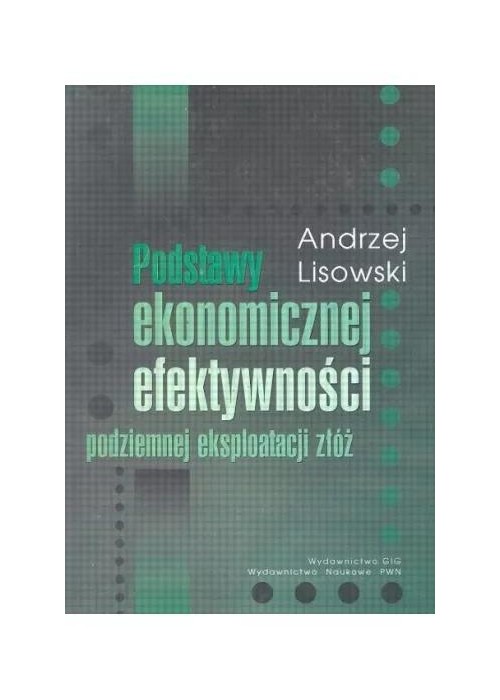 Podstawy ekonomicznej efektywności podziemnej eksp