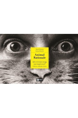 Animal Rationale