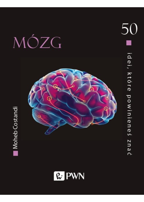50 idei, które powinieneś znać. Mózg