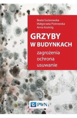 Grzyby w budynkach. Zagrożenia, ochrona, usuwanie.