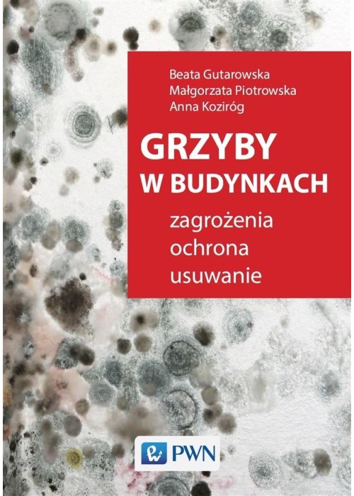 Grzyby w budynkach. Zagrożenia, ochrona, usuwanie.