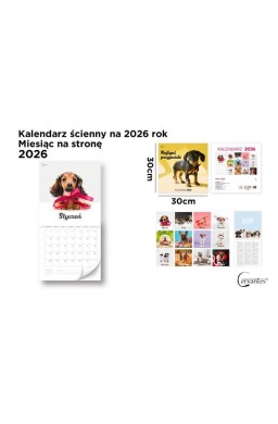 Kalendarz 2026 ścienny 30x30cm Psy