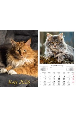 Kalendarz 2026 ścienny Koty